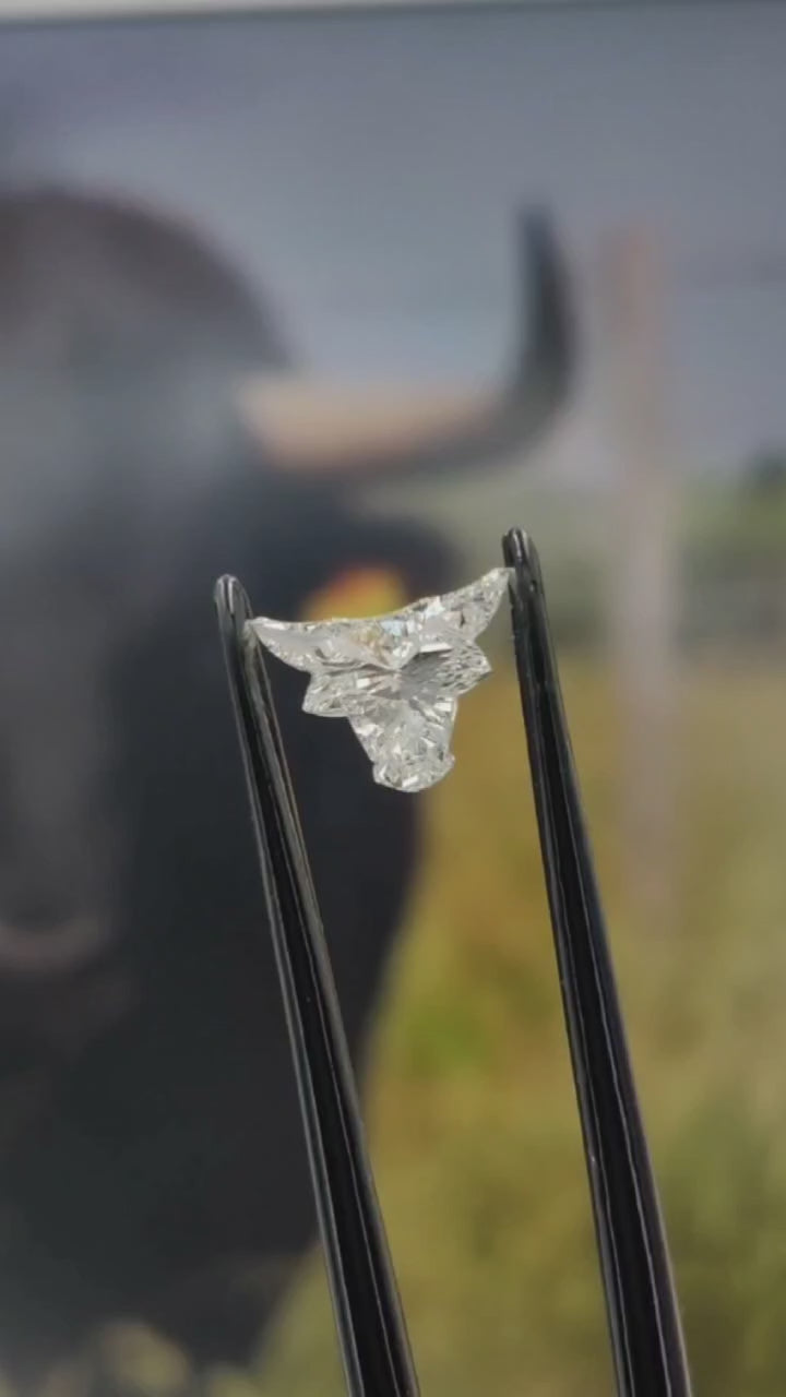 Bull Face Cut Lab Grown Diamond 1.00 CT | Rare Fancy Shape Diamond | VS1 E-F Color | Ethical Loose Diamond